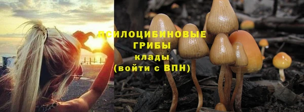 spice Армянск