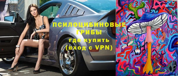прущие грибы Балабаново
