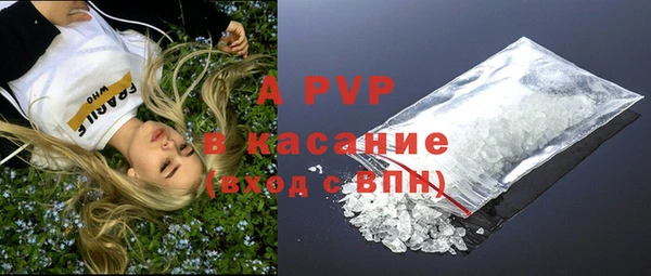прущие грибы Балабаново