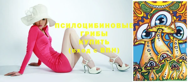 дурь Арсеньев
