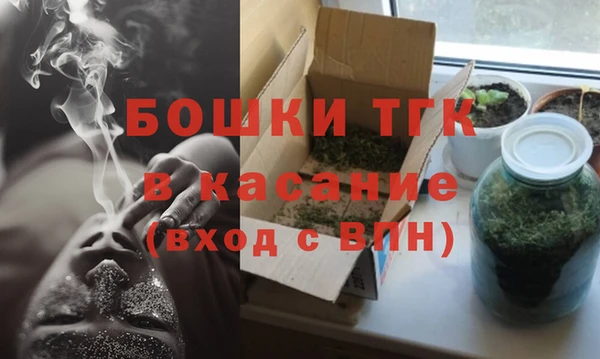 прущие грибы Балабаново